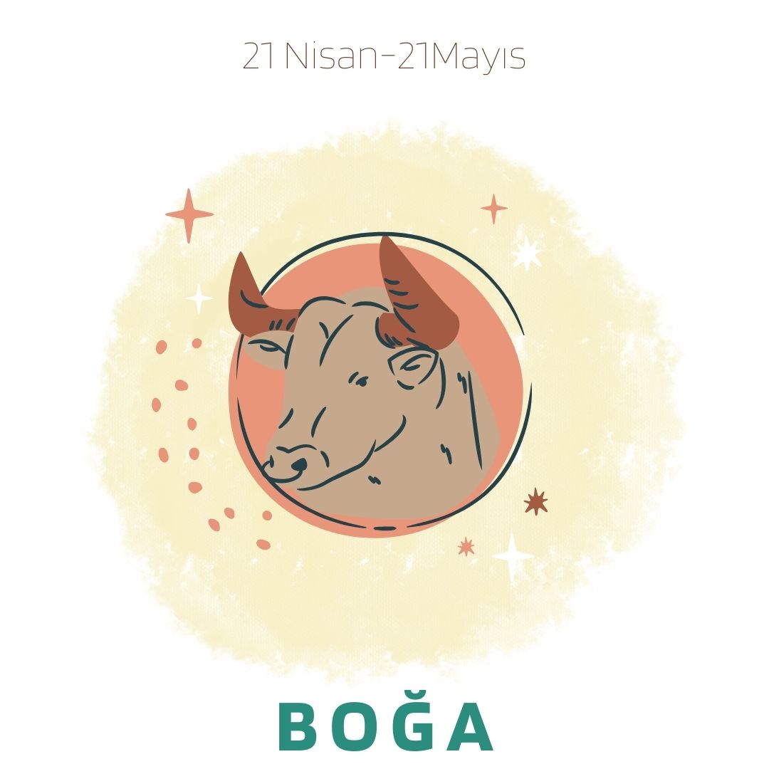 Boğa